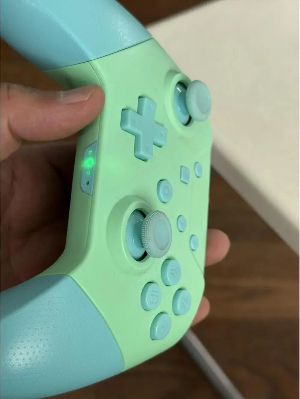 Nintendo Switch  Mint Green Controller